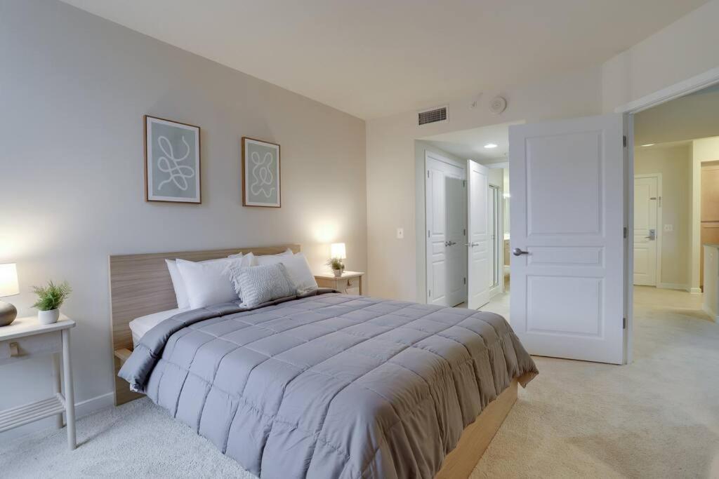 Bright And Cozy Apartment Near Pentagon City Arlington Exterior photo